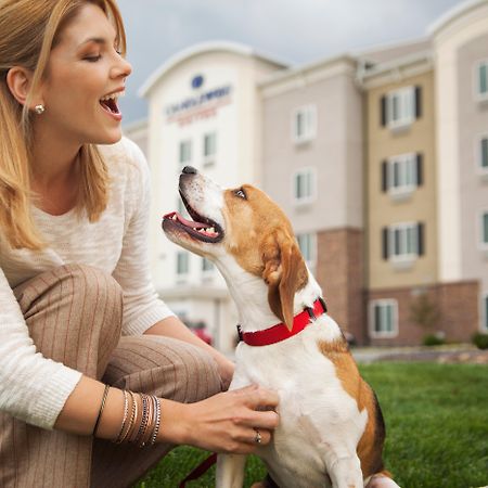 Sonesta Simply Suites Dallas Richardson Экстерьер фото