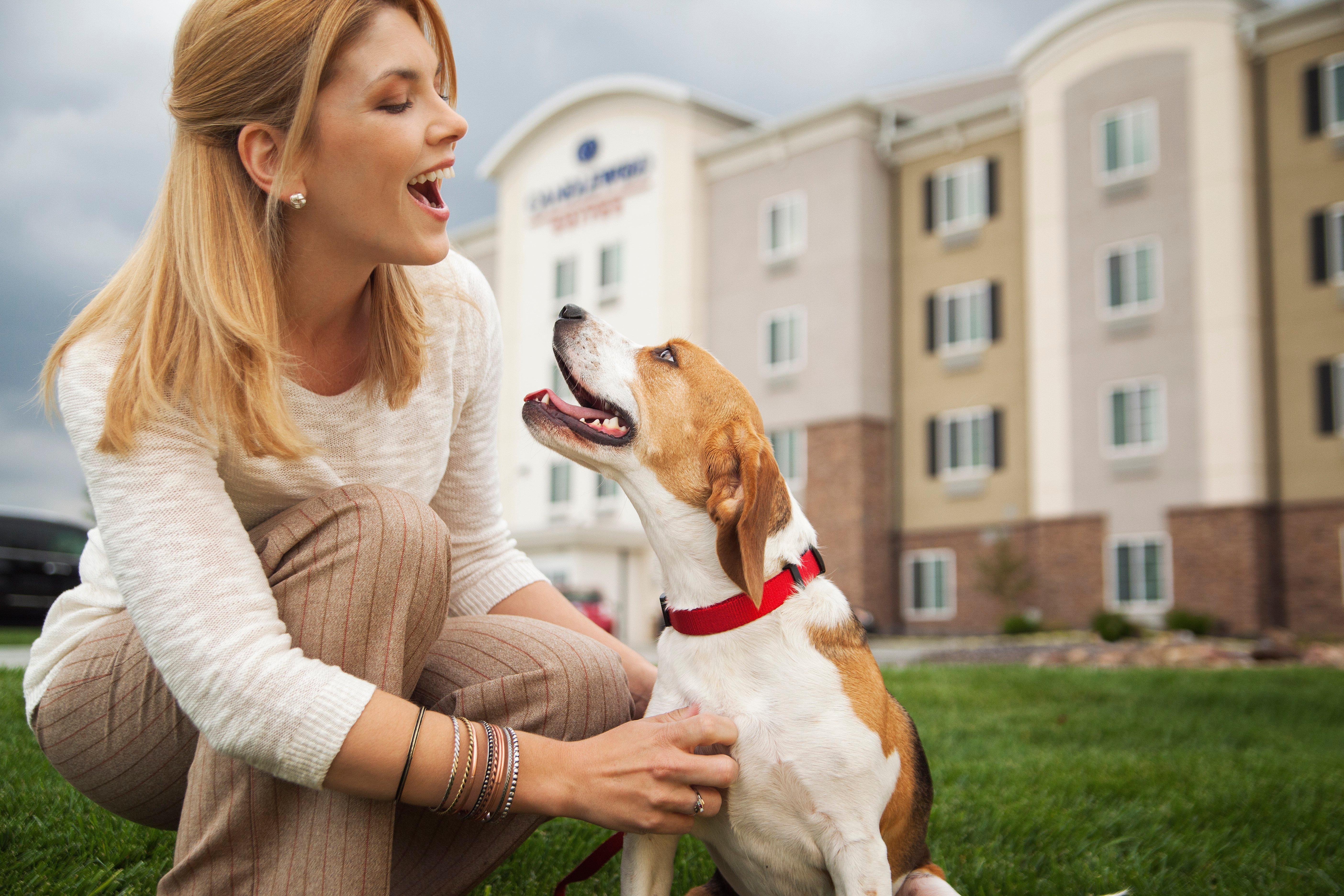 Sonesta Simply Suites Dallas Richardson Экстерьер фото